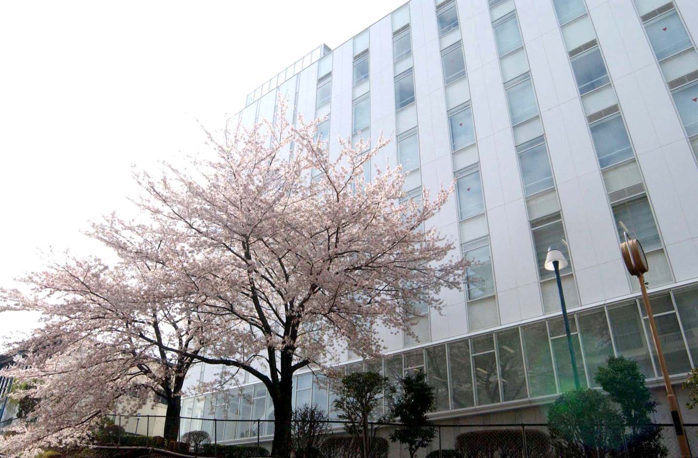 医療法人みなとみらい　藤沢金沢内科クリニック 臨床検査技師の求人